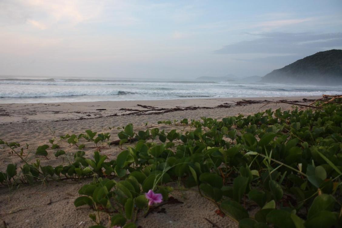 Maloquinha Itamambuca. A Mais Charmosa De Ubatuba. Екстериор снимка